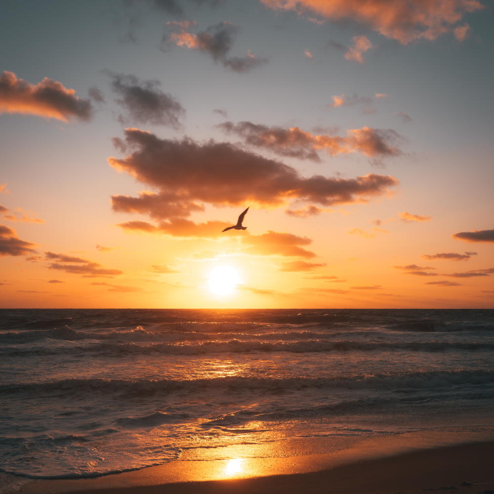 Sunset at Fort Myers Beach